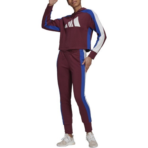 Спортивный костюм женский Adidas W TS Big Logo Burgundy H48550