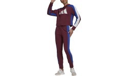 Adidas Sportinis Kostiumas Moterims W Ts Big Logo Burgundy H48550