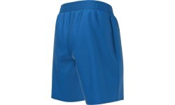 Nike детские шорты Nk B Ess 6'' Volley Short Blue NESSA779 494