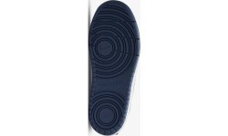 Детские кроссовки Nike Court Borough Low 2 сине-серые BQ5451 016