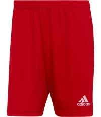 Adidas Futbolo Šortai Entrada 22 Red H61735