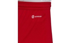 Adidas Futbolo Šortai Entrada 22 Red H61735