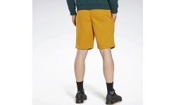 Мужские шорты Reebok Ri Left Leg Logo, жёлтые HJ9953