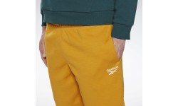 Мужские шорты Reebok Ri Left Leg Logo, жёлтые HJ9953