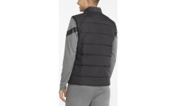 Жилет мужской Puma TeamLiga, чёрный 657968 03