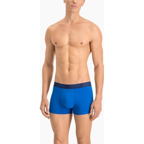Puma Apatiniai Vyrams Basic Trunk Blue 935015 03