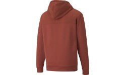 Puma Džemperis Vyrams Rad/Cal Half-Zip Brown 847436 23
