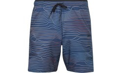Reebok TS Speed 2.0 AOP Men's Shorts Blue H46610