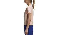 Adidas Blouse Emblem Tee Haze Coral DJ1604