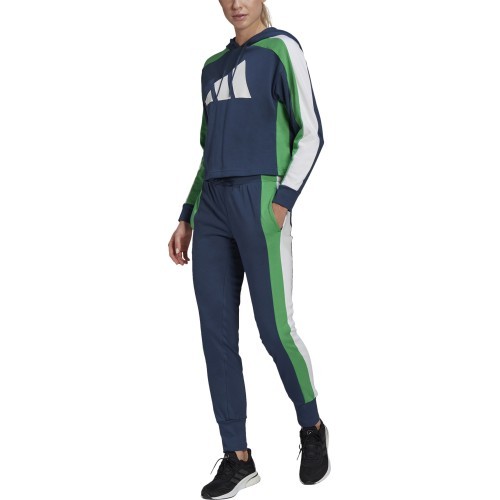 Женский спортивный костюм Adidas W TS Big Logo, синий GL9480