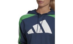 Adidas Sportinis Kostiumas Moterims W Ts Big Logo Blue GL9480