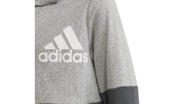 Толстовка подростковая Adidas U CB Hoodie серая HN8564