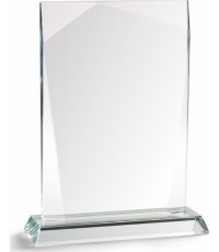 Stiklas Z2320 su dėžute - 28cm