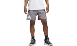 Мужские шорты Adidas Galaxy, серо-красные HE2902