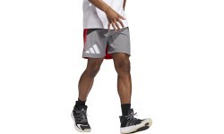 Adidas Šortai Vyrams Galaxy Short Grey Red HE2902