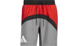 Adidas Šortai Vyrams Galaxy Short Grey Red HE2902