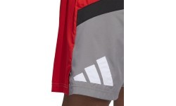 Adidas Šortai Vyrams Galaxy Short Grey Red HE2902