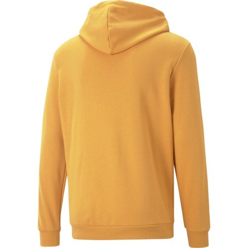 Puma Džemperis Vyrams Ess+ 2 Col Big Logo Yellow 586765 30