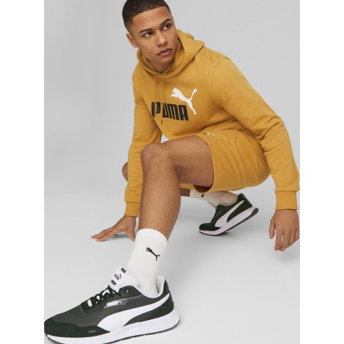 Puma Džemperis Vyrams Ess+ 2 Col Big Logo Yellow 586765 30