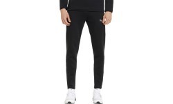 Мужские брюки Puma Evostripe Black 847404 01