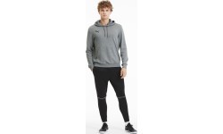 Puma Džemperis Vyrams TeamGoal 23 Causals Grey 656580 33