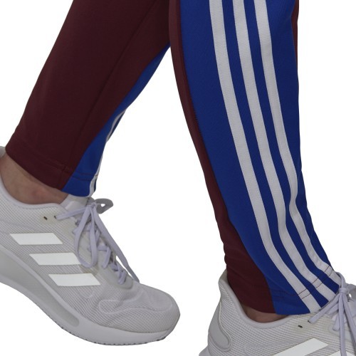 Женский спортивный костюм Adidas W Teamsports TS Burgundy H24122