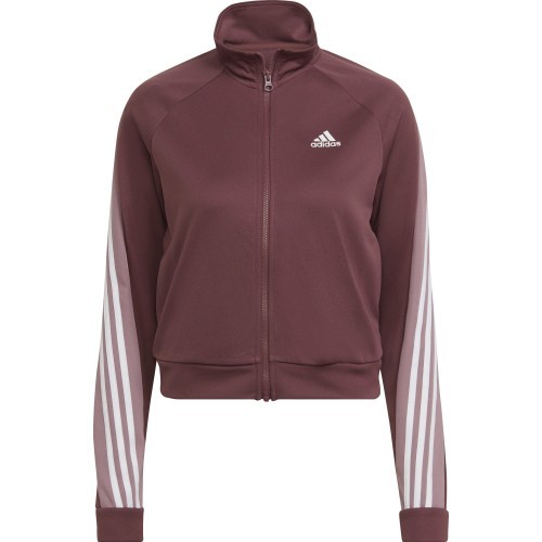 Adidas Sportinis Kostiumas Moterims W Teamsport Ts Bordeaux HD6568