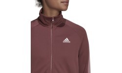 Женский спортивный костюм Adidas W Teamsport TS Bordeaux HD6568