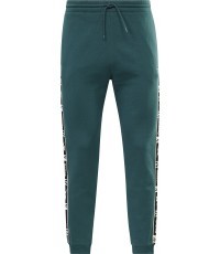 Мужские спортивные брюки Reebok Ri TAPE Jogger, зелёные HJ7844