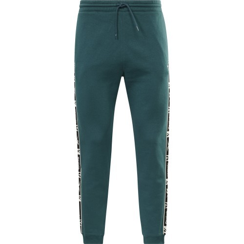 Мужские спортивные брюки Reebok Ri TAPE Jogger, зелёные HJ7844