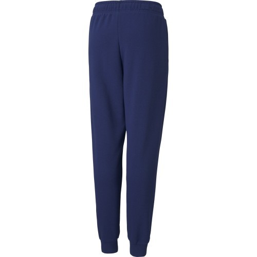Puma Kelnės Paaugliams Alpha Sweatpants Blue 585895 12