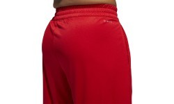Adidas Men's Basketball Shorts Spt Bos Red DX6744