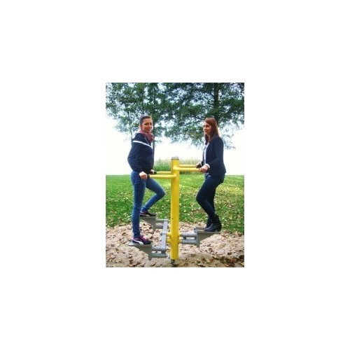 Double Stepper Trainer R21B