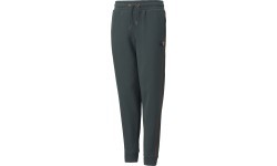 Puma Kelnės Paaugliams Alpha Holiday Sweatpants Green 845634 80