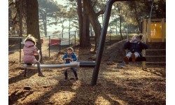 Swing and Seesaw Set Inter-Play Mantis