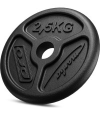 Ketaus svorio diskas Marbo Slim 2,5 kg 31 mm