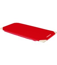 MAT FOR SCHOOL - PVC COVER - WITH ATTACHMENT STRIPS AND REINFORCED CORNERS - 200 x 100 x 4 cm