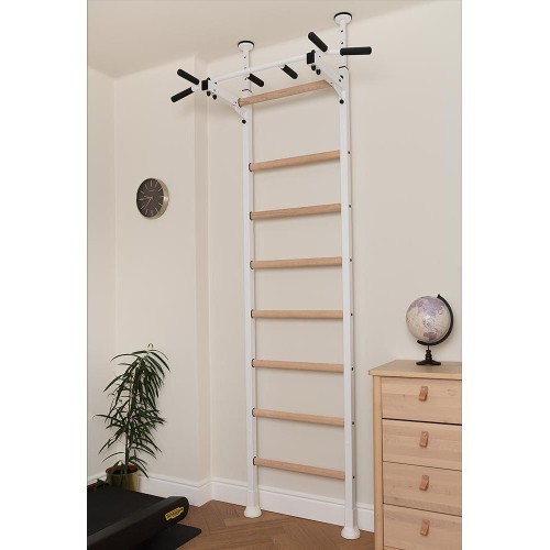BenchK 521W gymnastics ladder