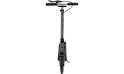 SPORTRIKE Scooter Silver