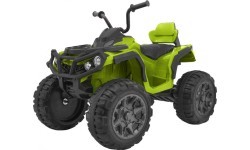 Quad ATV Green