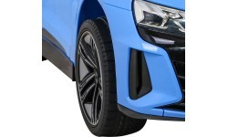 Audi RS E-Tron GT Blue