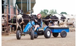 Kartingas BERG New Holland BFR