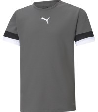 Подростковая футболка Puma TeamRise Jersey Grey 704938 13