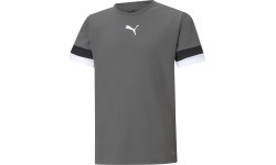Подростковая футболка Puma TeamRise Jersey Grey 704938 13