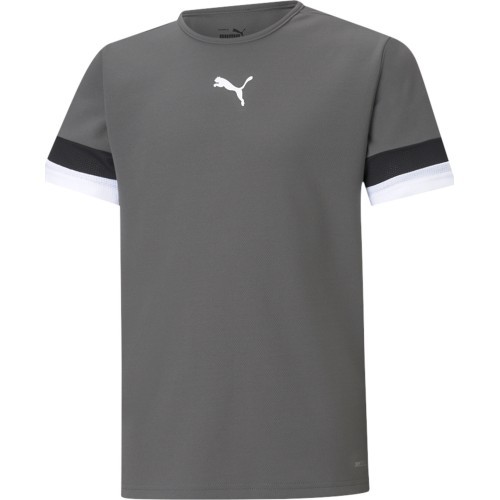 Подростковая футболка Puma TeamRise Jersey Grey 704938 13