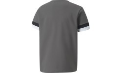 Puma TeamRise Jersey Junior T-Shirt Grey 704938 13