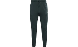 Мужские брюки Reebok Ri Left Leg Jogger зелёные HJ9956