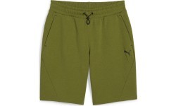 Puma Šortai Vyrams Rad/Cal Shorts 9 Green 678918 33