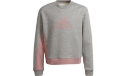 Adidas G Bos Co Ts Girls' Tracksuit Grey Pink H57225