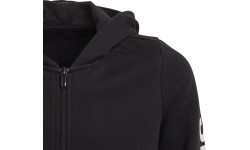 Adidas толстовка для девочек Yg E Lin Fz Hd Black EH6124